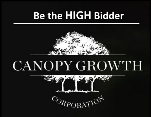 Online Auction - Canopy